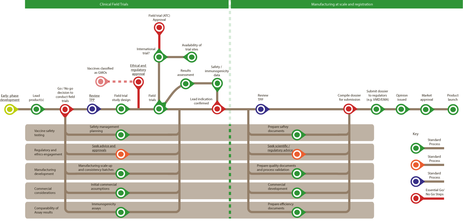 clinical development routemap