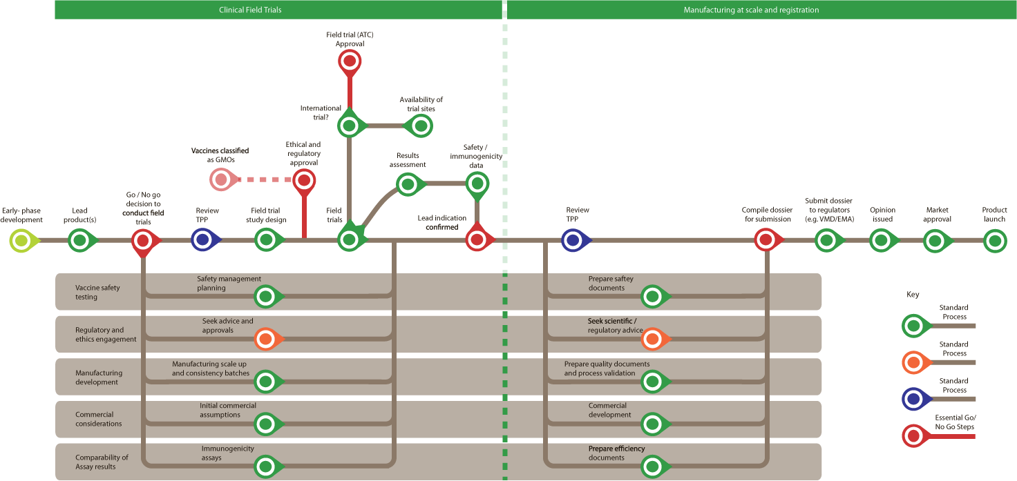 Vaccine Development: Veterinary - Late-Phase Development