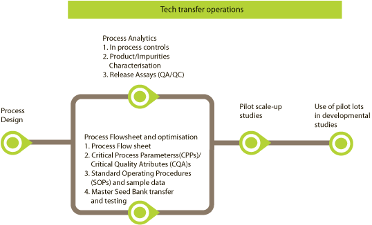 process development sub map